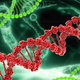 Illustration for article titled Is the Sensitivity Gene a Real Thing?